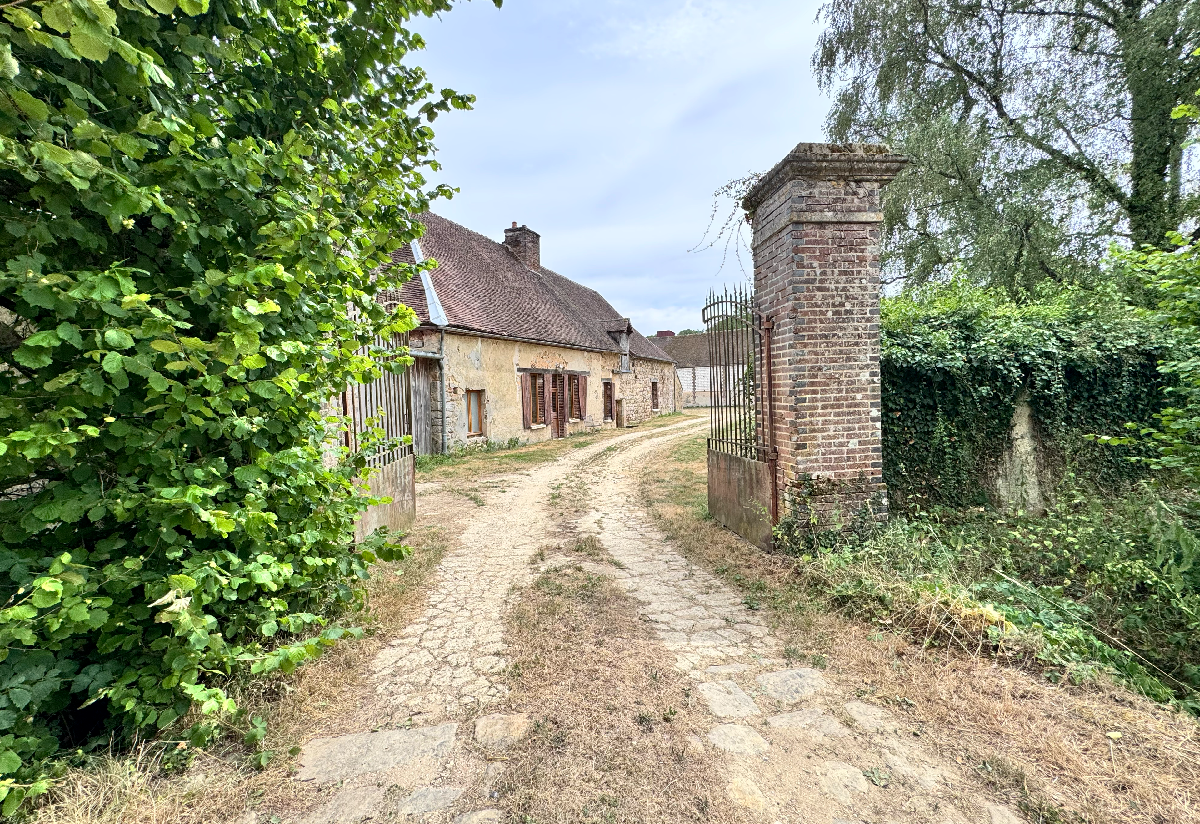 Vue aérienne de la campagne bourguignonne — collines et champs verdoyants